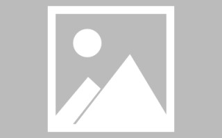 桐乡新区景区网站建设（in art criticism,you must assume）